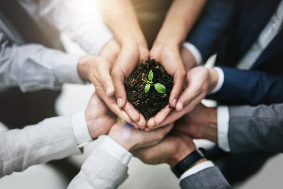 People hold a small amount of soil with a plant growing from it