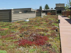 Green Roof - Portland, OR - McDonald & Wetle