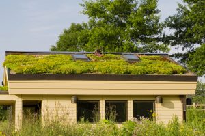 House with an eco green roof