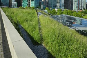 Industrial building with a green roof