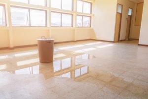 Puddle Of Water From Leaking Roof