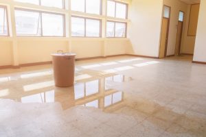 Puddle Of Water From Leaking Roof