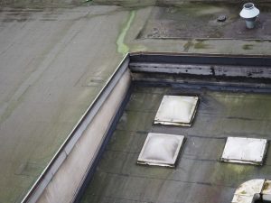 Mold On Flat Commercial Roof