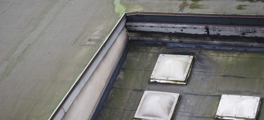 Mold On Flat Commercial Roof