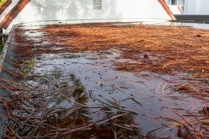 Rainwater and debris on roof