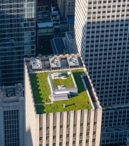 Skyscraper roof covered with vegetation