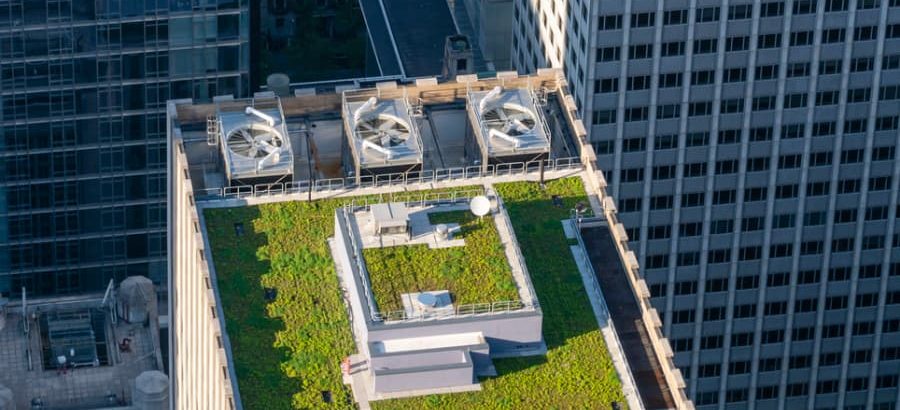 Skyscraper roof covered with vegetation