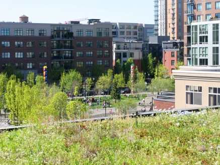 A multi-level eco green rooftop