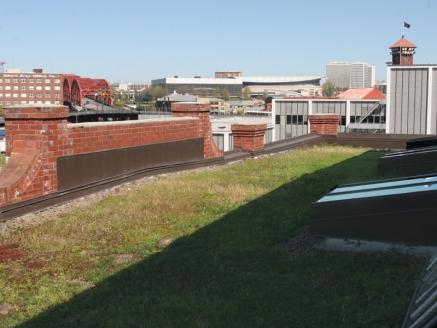 A close-up view of grass on an eco green roof