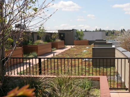 An eco green roof with an entry gate