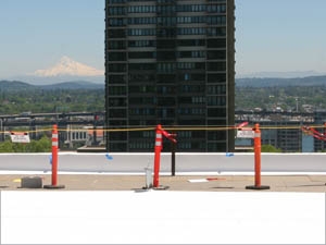 Caution Cones - Portland, OR - McDonald & Wetle