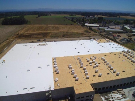 A single-ply roof on a large commercial building