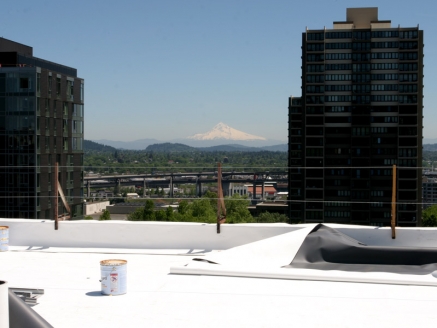 Close-up view of a single-ply roof on a commercial building